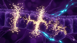 Visualização 3D de células intestinais (enterócitos) sendo seladas e fortalecidas por partículas luminosas de glutamina, fechando brechas de permeabilidade.