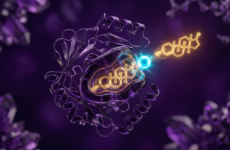 Visualização 3D de uma proteína (SHBG) "soltando" uma molécula hormonal dourada após ser tocada por uma partícula de boro ciano brilhante.
